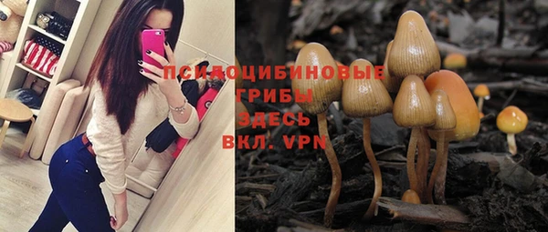 прущая мука Наволоки